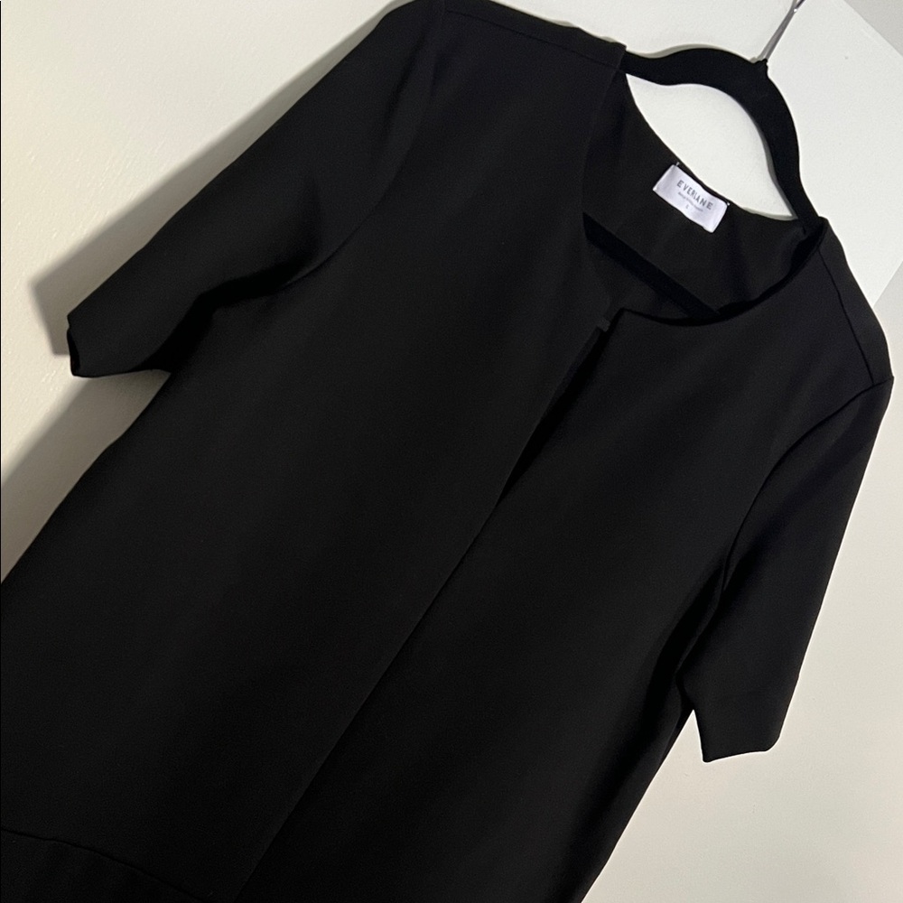 Everlane Black Mini Dress with Short Sleeves